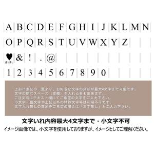 iphone17 ケース 17pro ipho...の詳細画像5