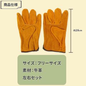 焚き火 手袋 耐熱 グローブ キャンプ 本革 ...の詳細画像4