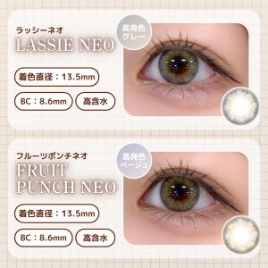 公式 エヌズコレクション カラコン ワンデー ...の詳細画像4