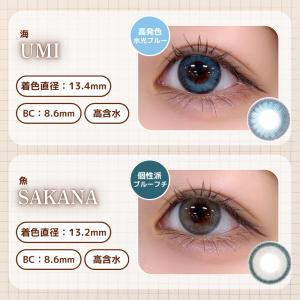 公式 エヌズコレクション カラコン ワンデー ...の詳細画像5