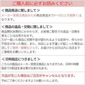 ピウム ワンデー 1箱 10枚入り pium ...の詳細画像3