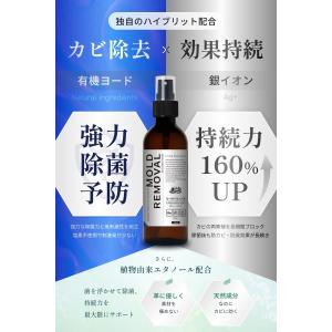 革製品 カビ取り 大容量200ml カビ防止 ...の詳細画像3