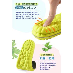 理学療法士監修 厚めx2組セット インソール ...の詳細画像3
