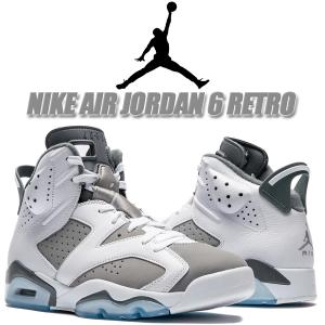 エア ジョーダン 6 NIKE WMNS AIR JORDAN RETRO white/pure platinum