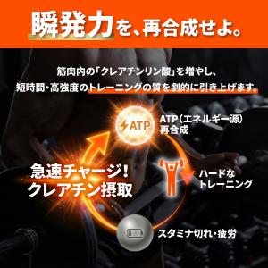 リミテスト クレアチン 工場直販 クレアチンモ...の詳細画像3