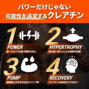 リミテスト クレアチン 工場直販 クレアチンモ...の詳細画像4