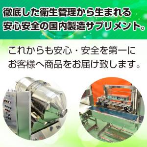 HMB(HMBカルシウムパウダー) 国産 10...の詳細画像3