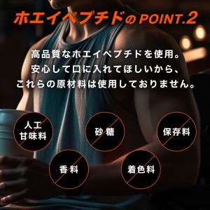 ホエイペプチド 3kg 苦くない 香料 人工甘...の詳細画像2