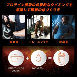 ホエイペプチド 3kg 苦くない 香料 人工甘...の詳細画像4