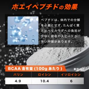 ホエイペプチド 3kg 苦くない 香料 人工甘...の詳細画像5