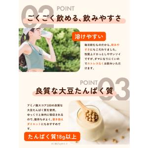 リミテスト ソイプロテイン 抹茶 1kg 大豆...の詳細画像3