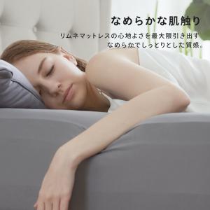 【 送料無料 】Limne ( リムネ ) ボ...の詳細画像2