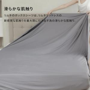 【 送料無料 】Limne ( リムネ ) ボ...の詳細画像3
