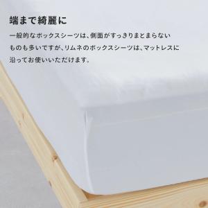 【 送料無料 】Limne ( リムネ ) ボ...の詳細画像4