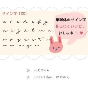 ＼ 名入れ / フラットポーチ ss 母子手帳...の詳細画像5