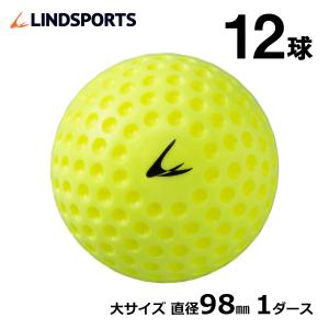 ディンプルボール(大) ソフトタイプ 1ダース(12球入) トレーニングボール 練習用 LINDSPORTS リンドスポーツ｜lindsp