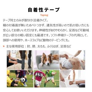 リピバン 幅50mm 75mm ライトタイプの...の詳細画像3
