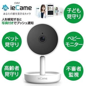 ホームカメラ RATOC Systems ieCame イエカメ RS-WFCAM1A 固定アングル