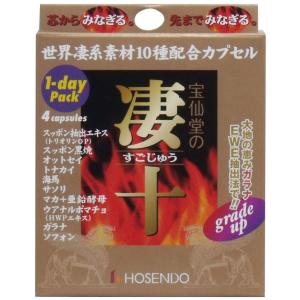 宝仙堂 凄十 すごじゅう 1dayパック (4粒)