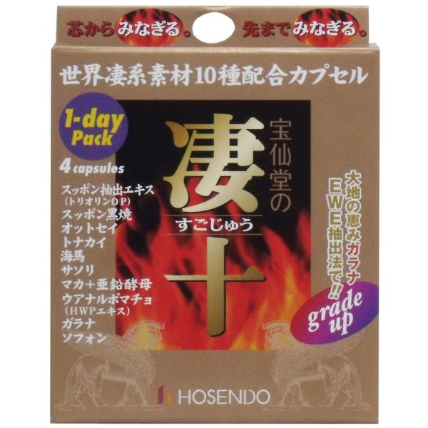宝仙堂 凄十 すごじゅう 1dayパック (4粒)