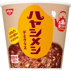 カレーメシ 日清食品 日清ハヤシメシ デミグラス インスタント 103g×6個