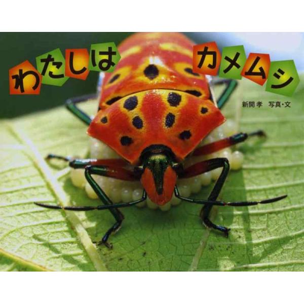 【中古】わたしは カメムシ (ふしぎいっぱい写真絵本 25)