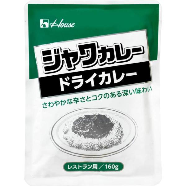 ハウス ジャワカレー ドライカレー レストラン用 160g ×10個