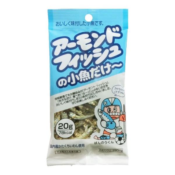 藤沢商事 アーモンドフィッシュの小魚だけ~ 20g×10個