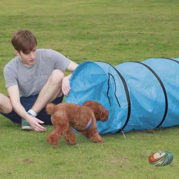 用トンネル テント 折りたたみ式 室内外OK  犬のアジリティ遊びに ドッグトンネル 収納簡単で運動...