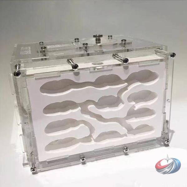 アリの巣観察キット 大きい 石膏製巣箱 保湿性が良い  自由研究に最適 蟻の観察・飼育・実験 小学生...
