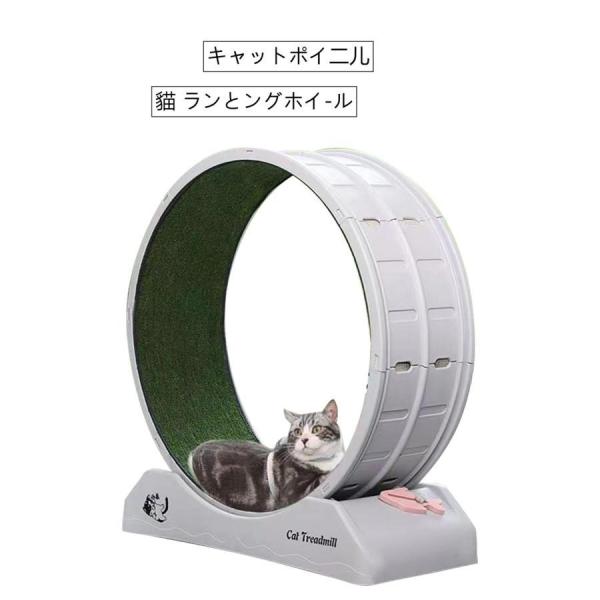 キャットホイール 猫 回し車 静音 低ノイズ ロック装置内蔵 ルームランナー  猫専用 ランニングホ...
