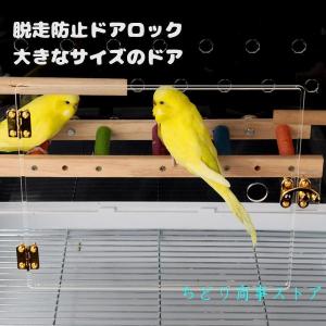 クリアアクリル鳥かご 文鳥インコケージ通気性あ...の詳細画像3
