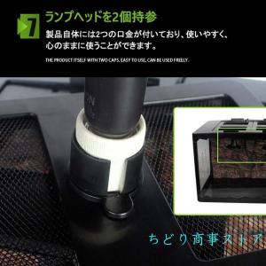 爬虫類ボックス飼育セット 室内換気性良好 トカ...の詳細画像5