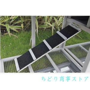 大型ケージ木製別荘 透明ドア付き飼育ケージ組立...の詳細画像3