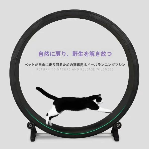 キャットホイール 猫のおもちゃ 省スペース 運動不足解消  ルームランナー感覚で走れる 回し車でスト...