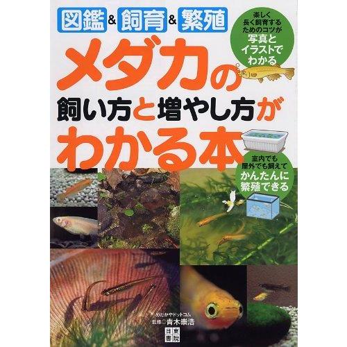 【中古】メダカの飼い方と増やし方がわかる本