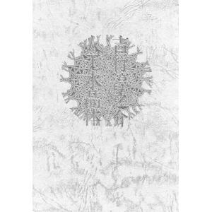 【中古】人工水晶体