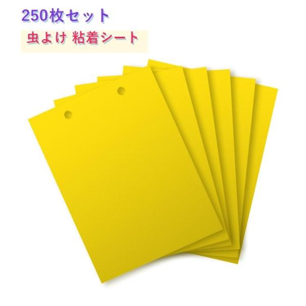 黄色 粘着捕虫板 果菜 粘着シート 250枚セット 野菜 農業 虫よけ 花 環境 園芸 果樹 ガーデ...
