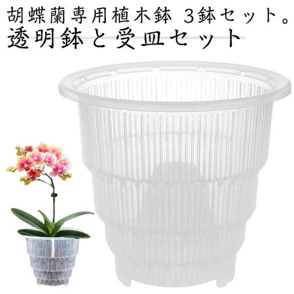胡蝶蘭専用 植木鉢 3鉢セット 胡蝶蘭の植え替え 鉢 受皿付き 多穴型 通気性抜群 根腐れ防止 直径...
