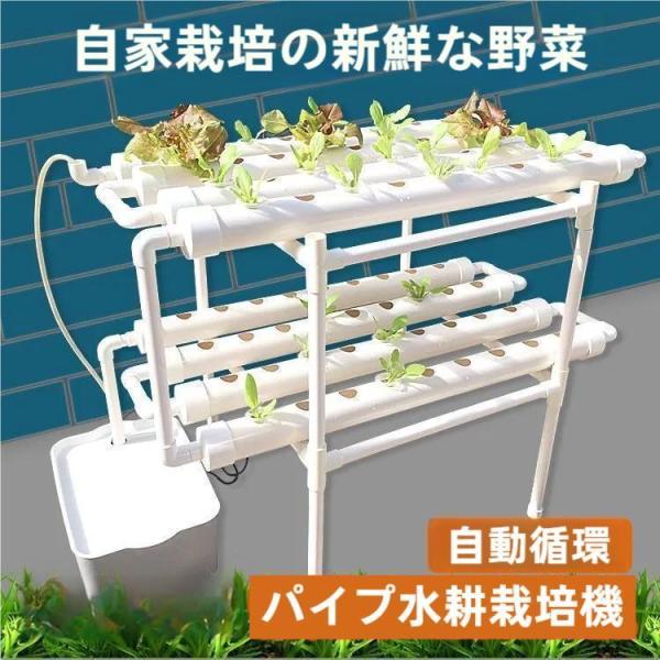 水耕栽培キット 野菜 栽培キット すいこう栽培キット 室内 いちご 家庭菜園 水耕栽培セット プラン...