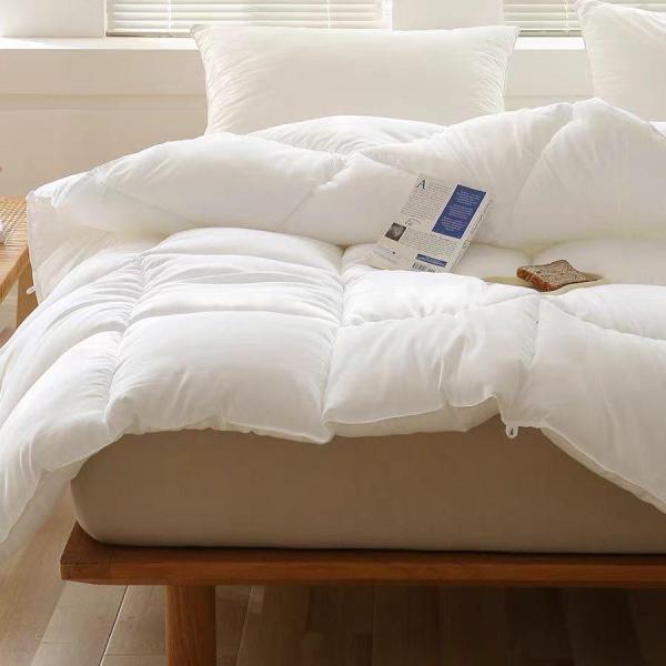 掛け布団羽毛のように軽くて暖かい健康快眠世界が認めた質の高い眠りセミダブルサイズ150*200C42...