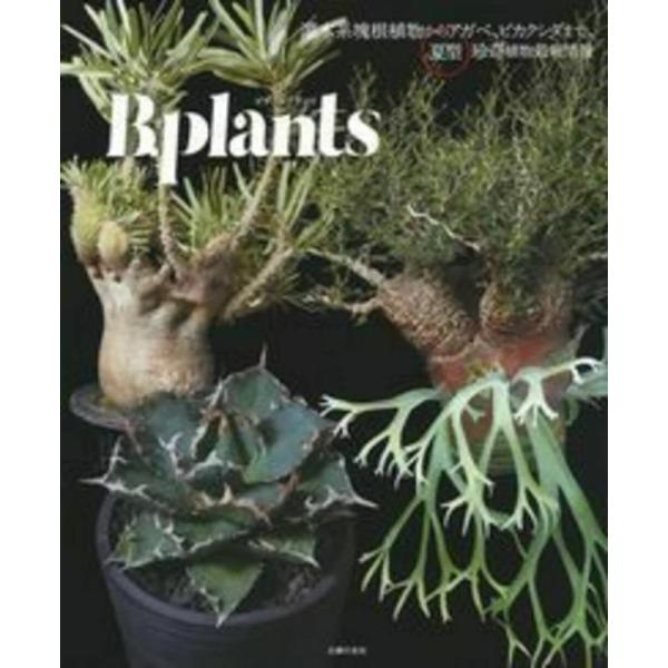 【中古】ビザールプランツ ― 灌木系塊根植物からアガベ、ビカクシダまで、夏型珍奇植物最新情報