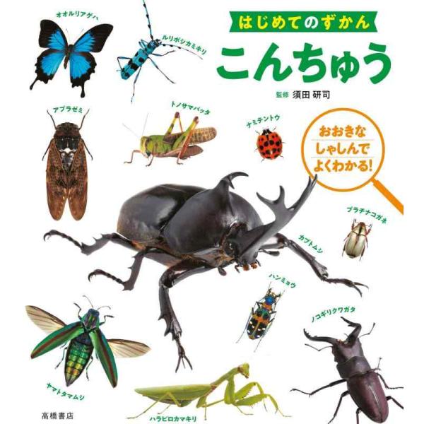 【中古】はじめてのずかん こんちゅう