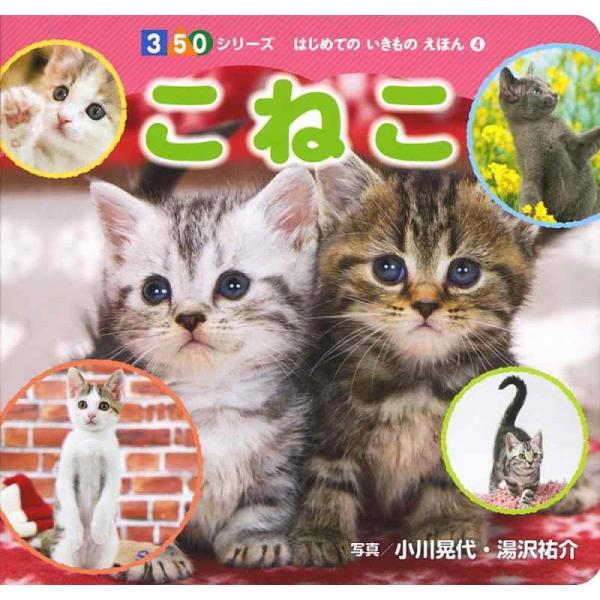 【中古】こねこ (350シリーズはじめてのいきものえほん 4)