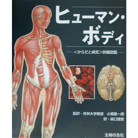 【中古】ヒューマン・ボディ―自分のからだが見る見るわかる“詳細からだ図鑑"