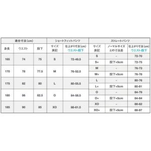 ライン加工パンツ デサント 野球 ユニフォーム...の詳細画像1