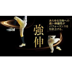 ミズノプロ 野球 ユニフォームパンツ ストレー...の詳細画像1