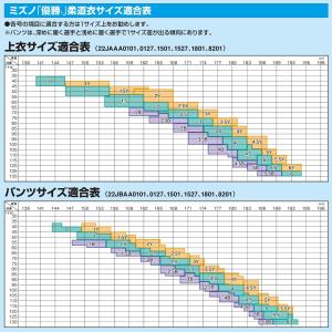 2026年新モデル!!【IJF・全柔連新規格対...の詳細画像1