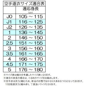 ミズノ 空手着 空手衣 上下セット 帯なし 葛...の詳細画像1