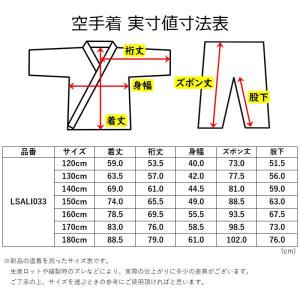 超軽量!! 空手着上下セット 上衣・ズボンセッ...の詳細画像1